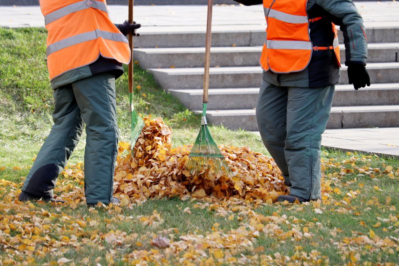 Fall Leaf Removal in Progress